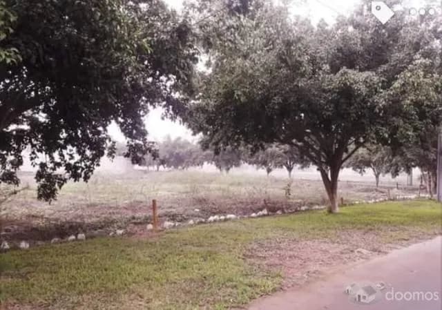 Venta de Terreno en Pachacamac — foto 5