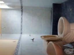 GRAN OPORTUNIDAD!! ALQUILER DEPARTAMENTO