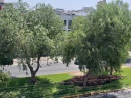 Alquilo Oficina San Borja