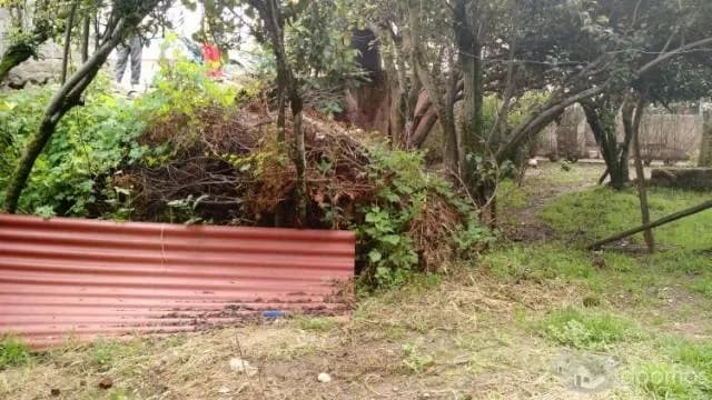 EN VENTA CASA COMO TERRENO EN CALLE TOTORAPACCHA - SAN BLAS — foto 2