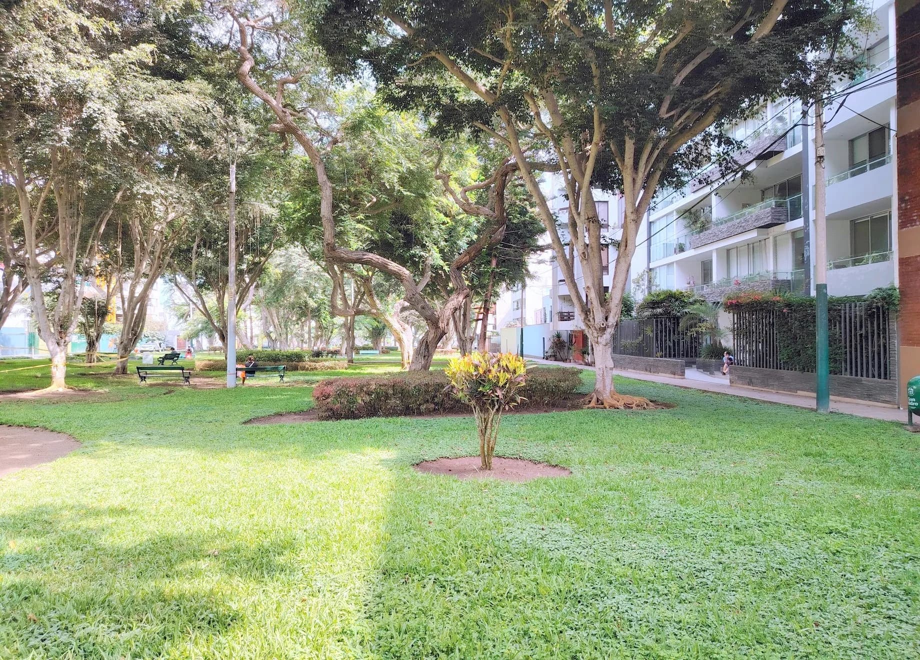 Pent-House San Isidro. AO: — foto 1