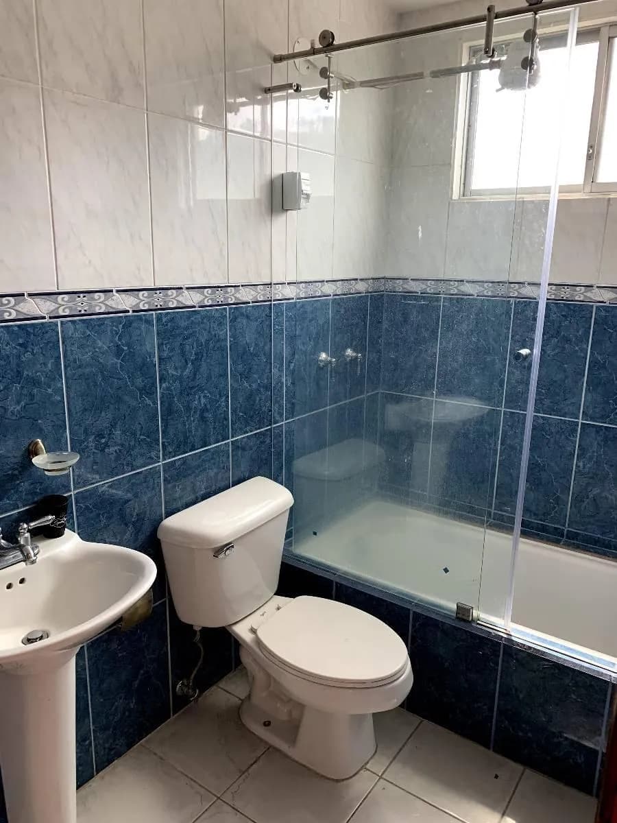 EN   LINCE  TRINIDAD MORAN — foto 4