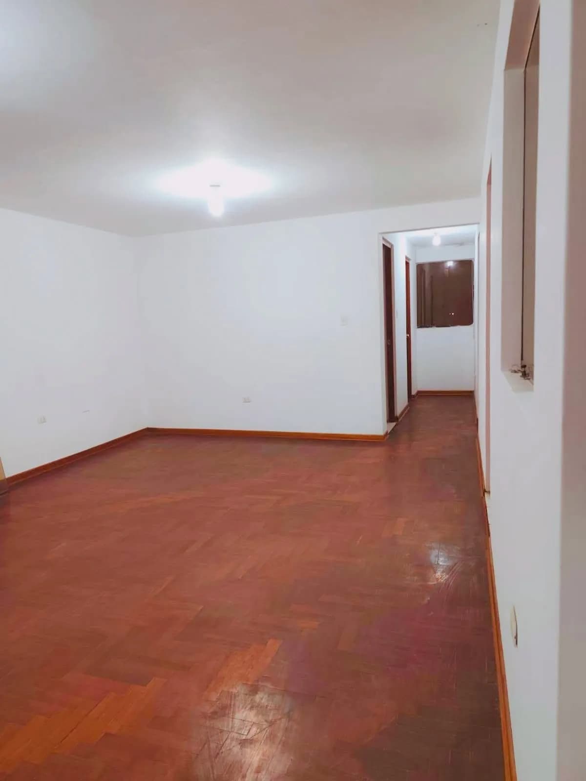 HERMOSO DEPARTAMENTO SMP — foto 3