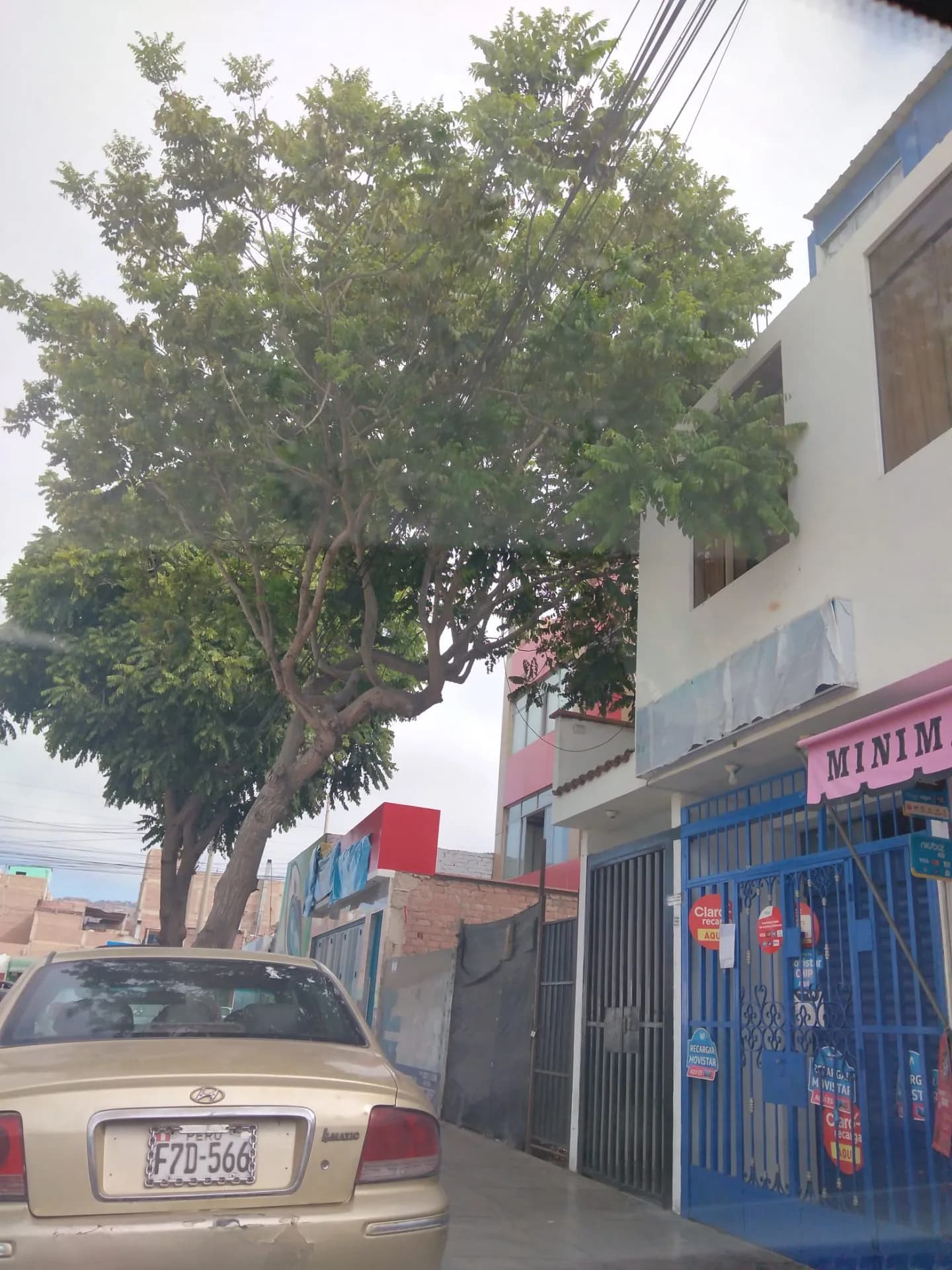 ALQUILO ALMACEN, OFICINA — foto 1