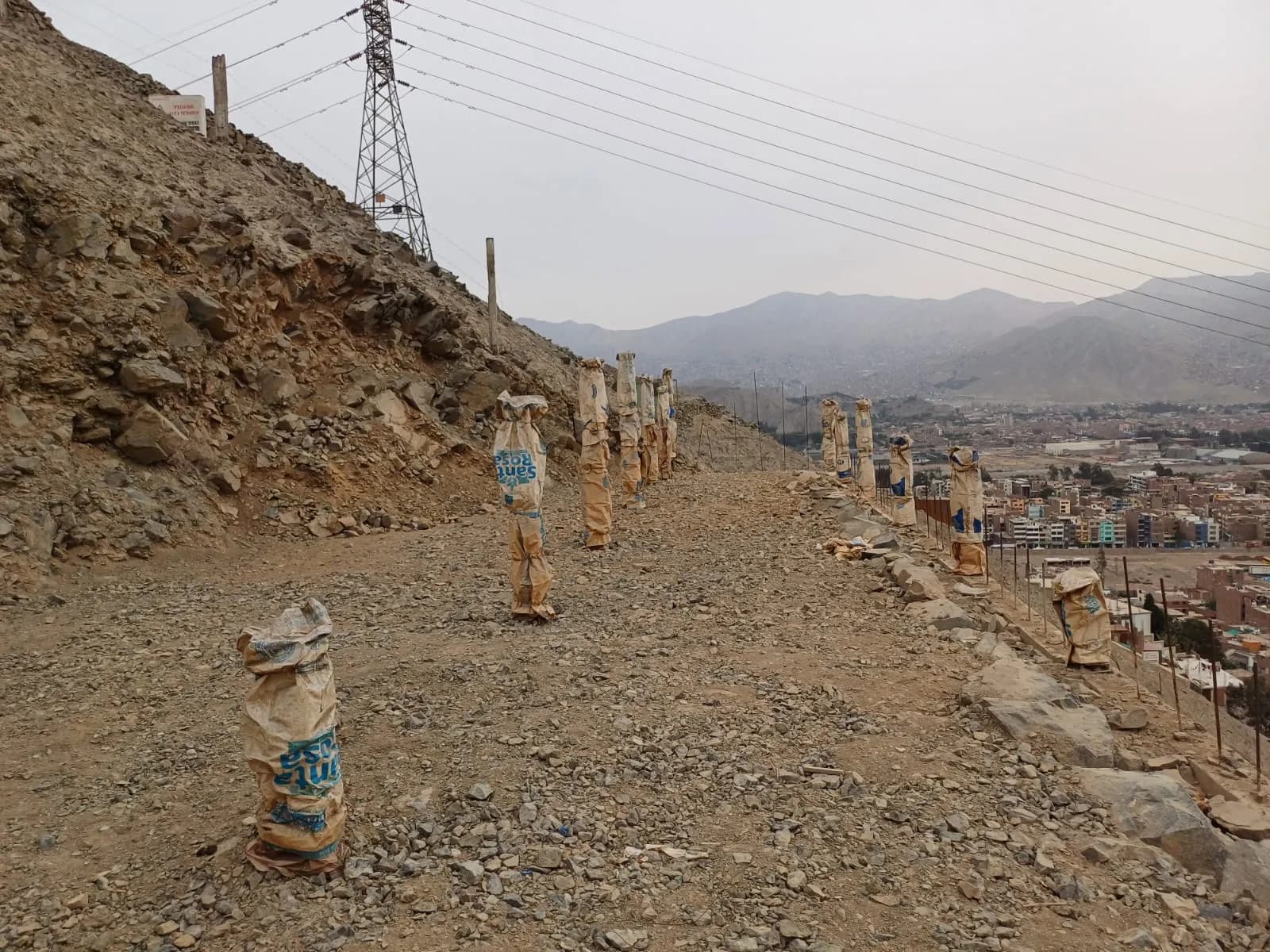 TERRENO EN REMATE - LA ERA - CHOSICA — foto 4